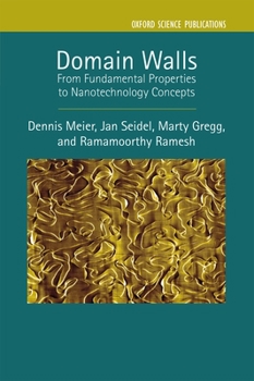 Hardcover Domain Walls: From Fundamental Properties to Nanotechnology Concepts Book