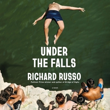 Audio CD Under the Falls Book