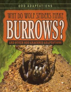 Library Binding Why Do Wolf Spiders Make Burrows?: And Other Odd Arachnid Adaptations Book