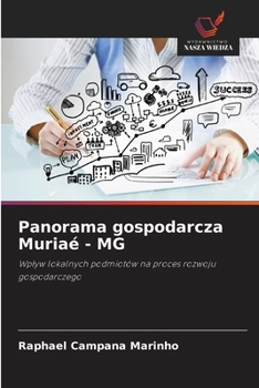 Paperback Panorama gospodarcza Muriaé - MG [Polish] Book