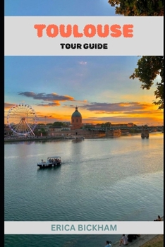 Paperback Toulouse Tour Guide 2025 Book