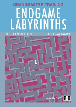 Paperback Endgame Labyrinths: Grandmaster Training Book