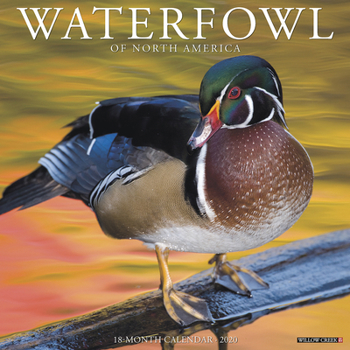 Calendar Waterfowl 2020 Wall Calendar Book