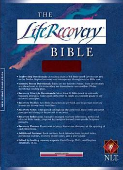 Holy Bible: Life Recovery Bible, Personal Size NLT