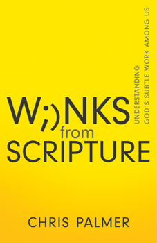 Paperback Winks from Scripture: Understanding God's Subtle Work Among Us Book