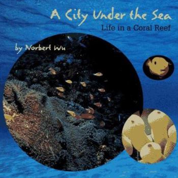 Hardcover City Under the Sea Book