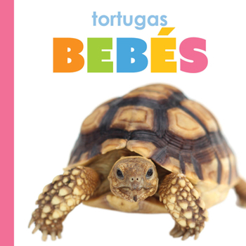 Paperback Tortugas Bebes [Spanish] Book
