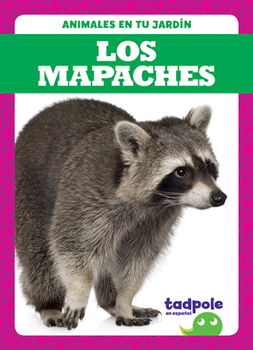 Los Mapaches