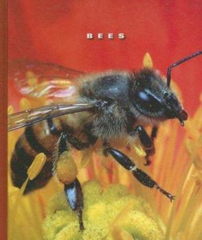 Library Binding Bees Book