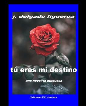 Hardcover Tú eres mi destino (Spanish Edition) [Spanish] Book