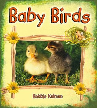 Hardcover Baby Birds Book