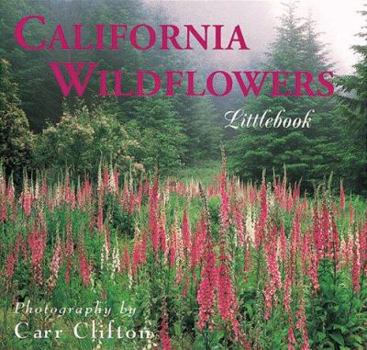 Hardcover California Wildflowers Book