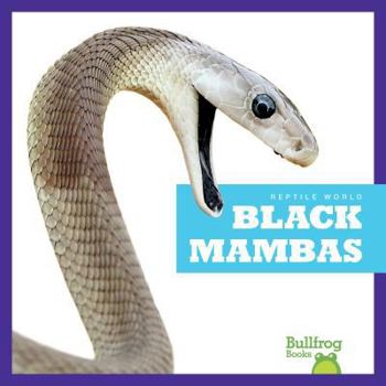 Black Mambas - Book  of the Reptile World