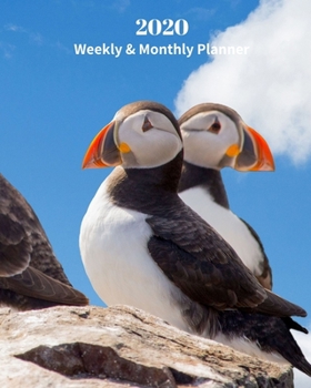 Paperback 2020 Weekly and Monthly Planner: Puffins Bird - Monthly Calendar with U.S./UK/ Canadian/Christian/Jewish/Muslim Holidays- Calendar in Review/Notes 8 x Book