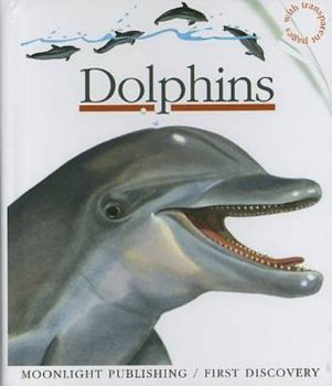Spiral-bound Dolphins Book