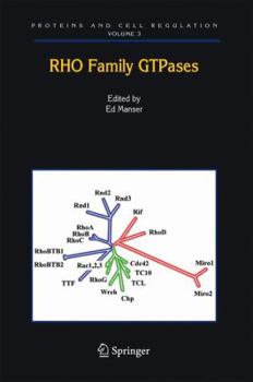 Hardcover Rho Family Gtpases Book