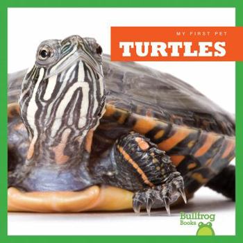 Hardcover Turtles Book