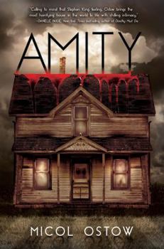 Hardcover Amity Book