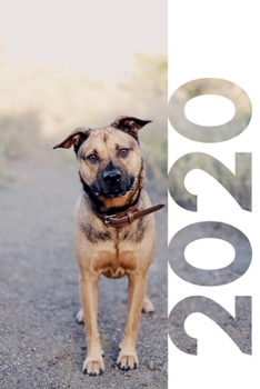 2020: Animal care jobs with no experience Pretty Planner Calendar Organizer Daily Weekly Monthly Student Diary for researching how to become a dog groomer
