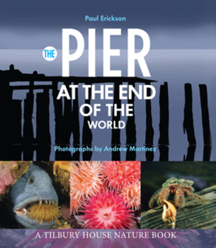 Hardcover The Pier at the End of the World Book