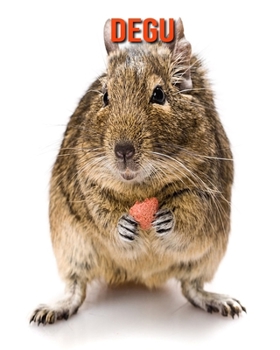 Degu: Fantastici fatti e immagini (Italian Edition)