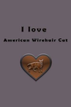 Paperback I love American Wirehair Cat Book