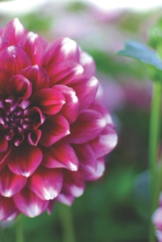 Journal: 150 Lined & Dated Pages, 6x9 Inches, Inspiring Magenta Flower, Diary & Notebook for Writing, Brainstorming, Note Taking for Work/Travel/Studying & More