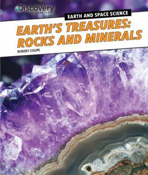 Library Binding Earth's Treasures: Rocks and Minerals Book