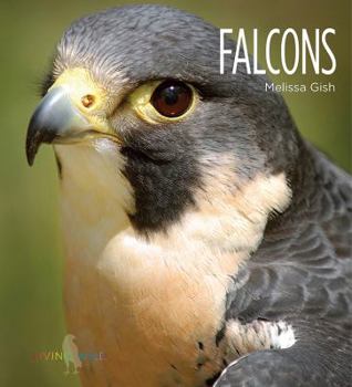 Falcons - Book  of the Living Wild