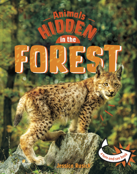 Hardcover Animals Hidden in the Forest Book