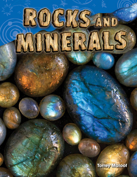 Paperback Rocks and Minerals Book