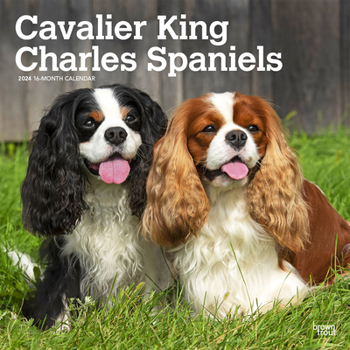 Calendar Cavalier King Charles Spaniels 2024 Square Book