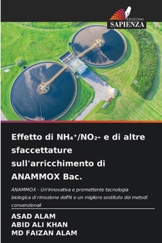 Effetto di NH4?/NO2- e di altre sfaccettature sull'arricchimento di ANAMMOX Bac. (Italian Edition)