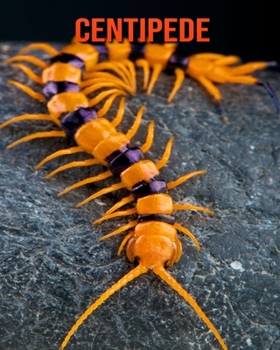 Centipede: Amazing Photos & Fun Facts Book About Centipede For Kids