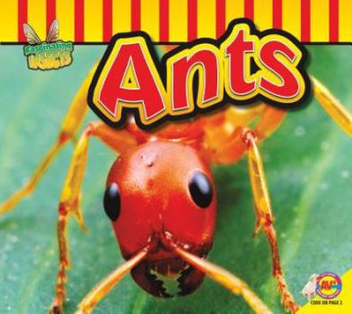 Ants - Book  of the Fascinating Insects