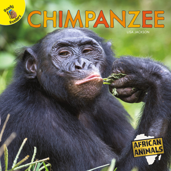 Hardcover Chimpanzee Book