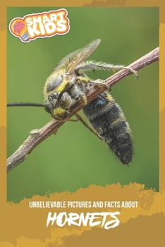 Paperback Unbelievable Pictures and Facts About Hornets Book