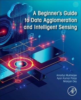 Paperback A Beginner's Guide to Data Agglomeration and Intelligent Sensing Book