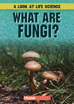 Library Binding What Are Fungi? Book