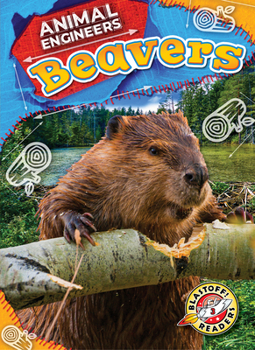 Library Binding Beavers Book