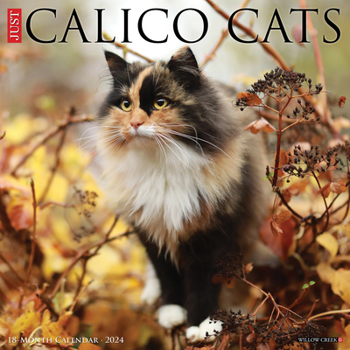 Calendar Just Calico Cats 2024 12 X 12 Wall Calendar Book