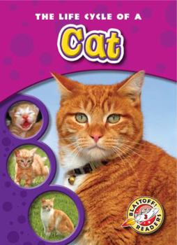 Life Cycle of a Cat - Book  of the Life Cycles
