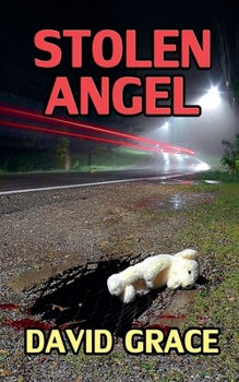 Paperback Stolen Angel Book