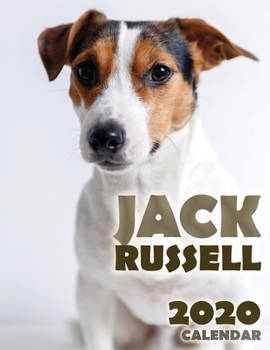 Paperback Jack Russell 2020 Calendar Book