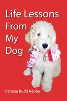 Paperback Life Lessons from My Dog Book