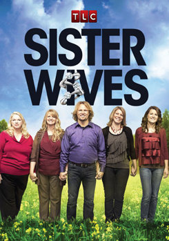 DVD Sister Wives Book