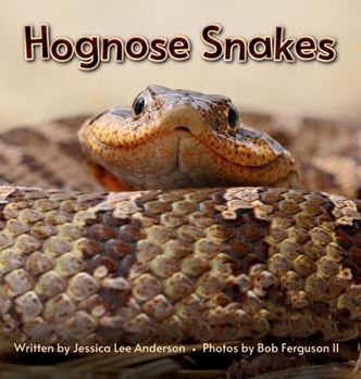 Hardcover Hognose Snakes Book