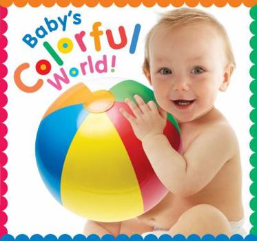 Board book Baby's Colorful World Book