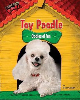 Library Binding Toy Poodle: Oodles of Fun Book