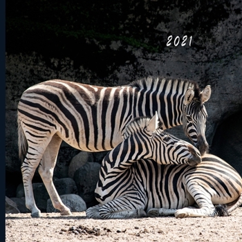 2021: Monthly Photo Calendar | January 2021 - December 2021 | Monthly Calendar with U.S./UK/ Canadian/Christian/Jewish/Muslim Holidays | zebra photo calendar